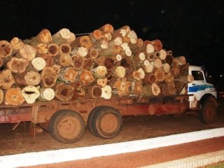 Tráfico ilegal de madera